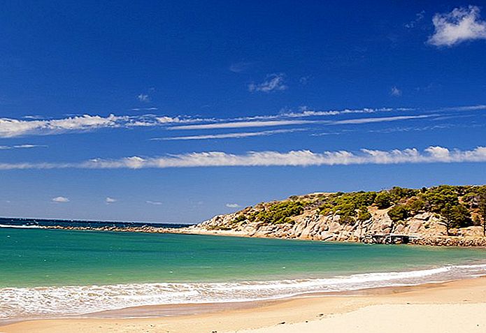 14 top rated tourist attractions in adelaide easy day trips 15
