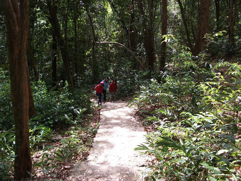 Suối Đa Nhông - Dải lụa vắt ngang núi rừng Phước Bình2