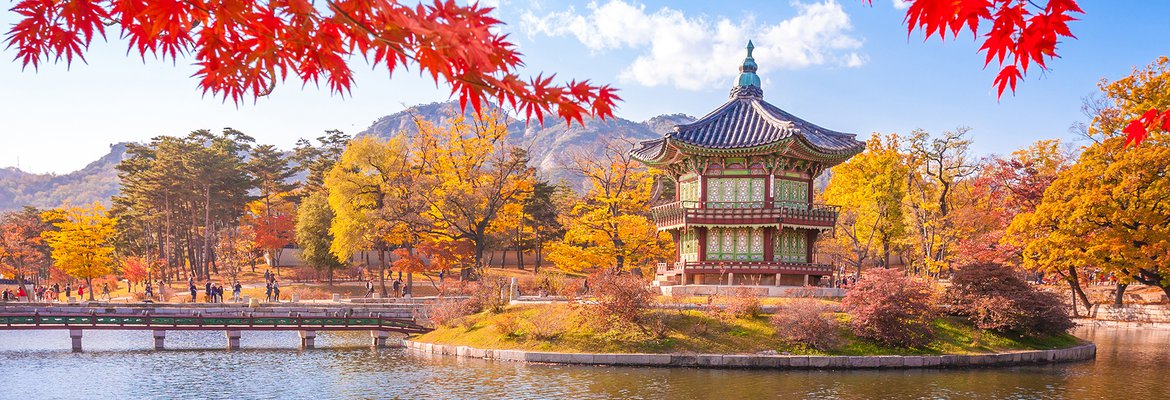 Top 20 địa điểm du lịch Seoul bạn không thể bỏ qua