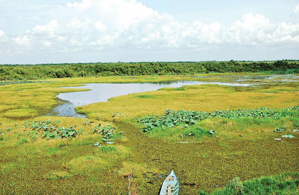 Khám phá khu bảo tồn đất ngập nước Láng Sen9