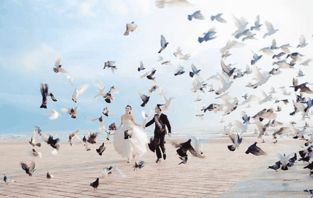Khoảnh khắc hạnh phúc của cặp đôi tại Công viên Biển Đông 