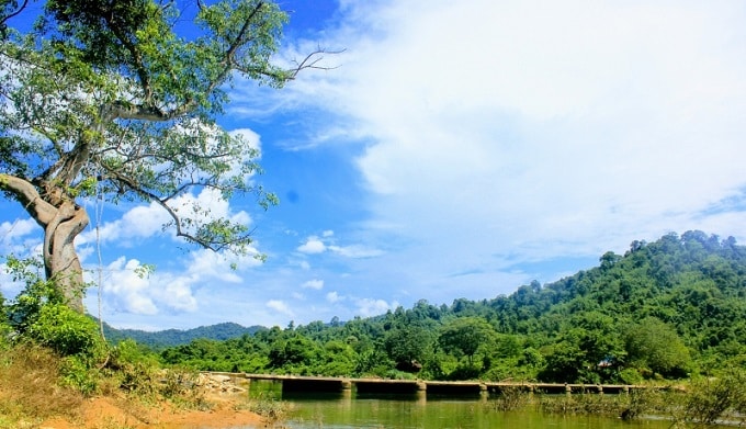 Vườn quốc gia Vũ Quang hứa hẹn sẽ phát triển thành điểm du lịch sinh thái hấp dẫn tại Hà Tĩnh