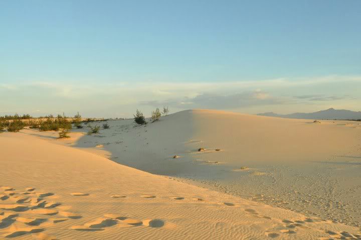 Cồn cát Quang Phú 02