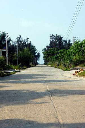 Một con đường trên đảo Ngọc Vừng. Ảnh: Phuot HD