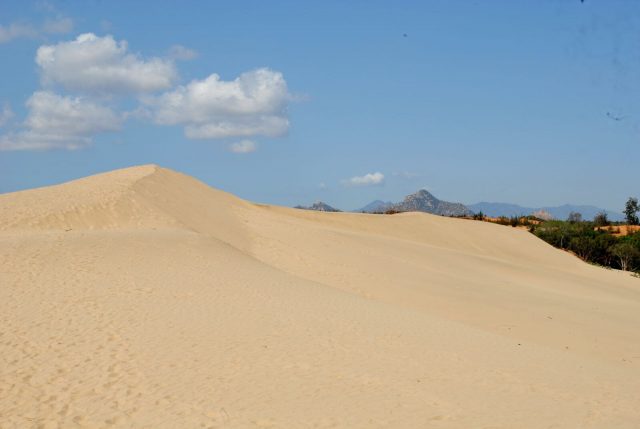 Tham Quan đồi cát Nam Cương Ninh Thuận 