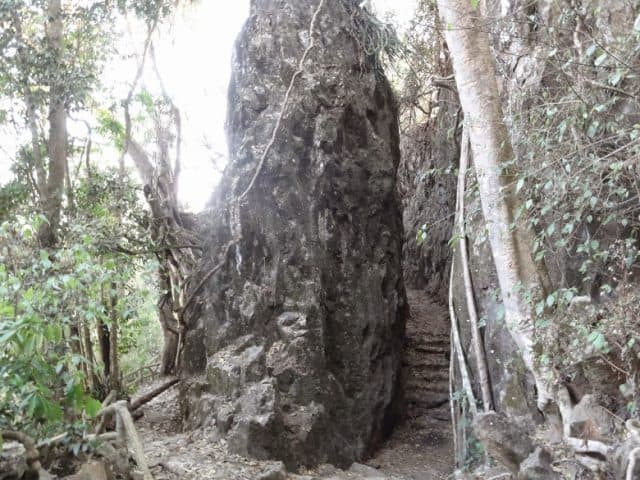 Tham Quan ngọn thác Bảo Đại Lâm Đồng4