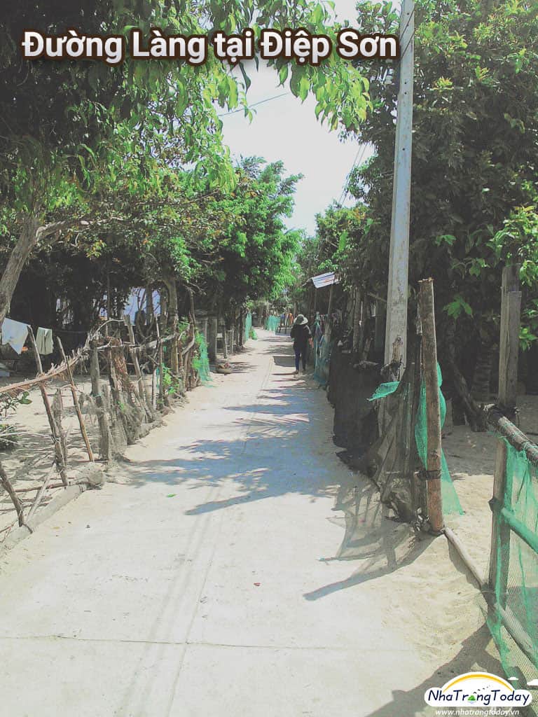 đường làng tại đảo điệm sơn