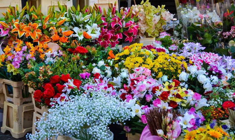 những bông hoa với đủ sắc màu ở chợ đêm Đà Lạt