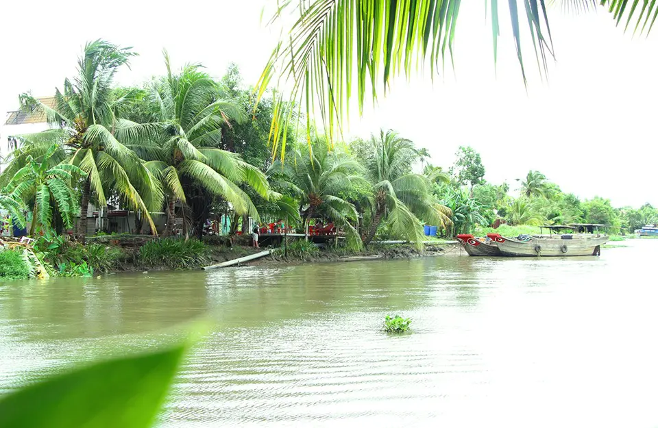 Du lịch xanh Dìn Ký Bình Dương - Địa điểm nghỉ dưỡng lý tưởng cho du khách Sài Gòn 