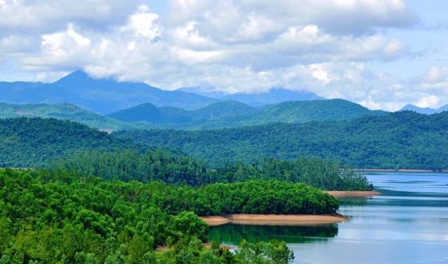 rừng cây hồ Phú Ninh