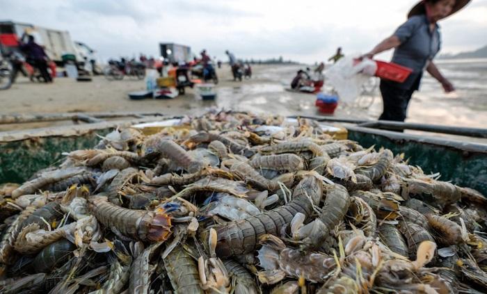 Khám phá các món hải sản hấp dẫn ở làng cá Cửa Nhượng