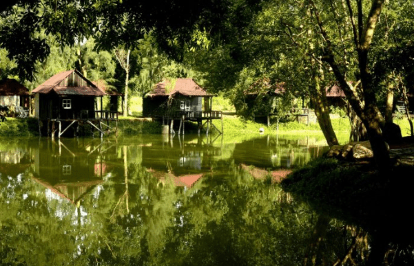 Những ngôi nhà gỗ nằm giữa thiên nhiên xanh mát