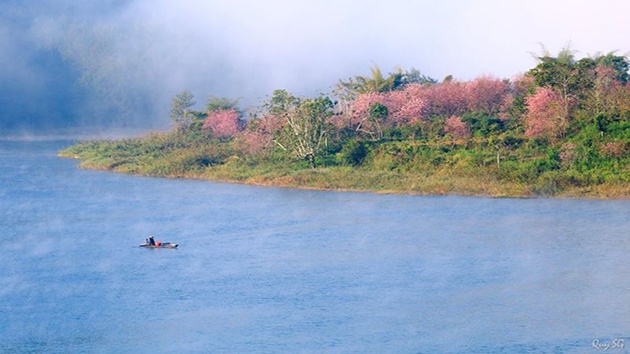 Tham quan du lịch tại hồ Tuyền Lâm